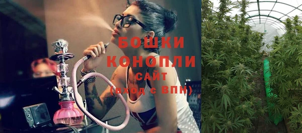 Альфа ПВП Струнино