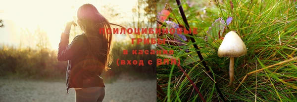 Альфа ПВП Струнино