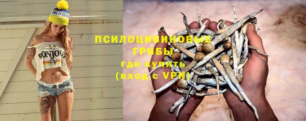 бошки Ступино