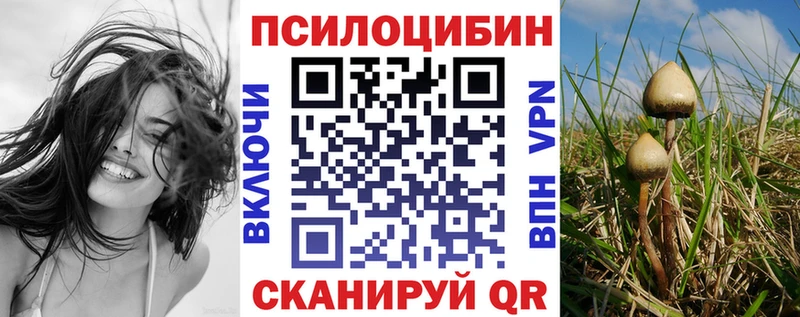 Псилоцибиновые грибы GOLDEN TEACHER  закладки  Черноголовка 